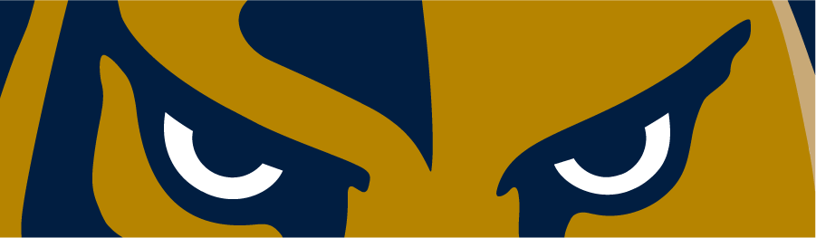 FIU Panthers 2017-Pres Secondary Logo diy iron on heat transfer